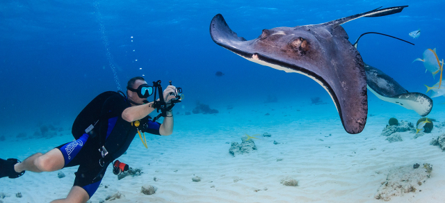 Törékeny Édenkert