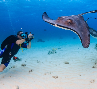 Törékeny Édenkert